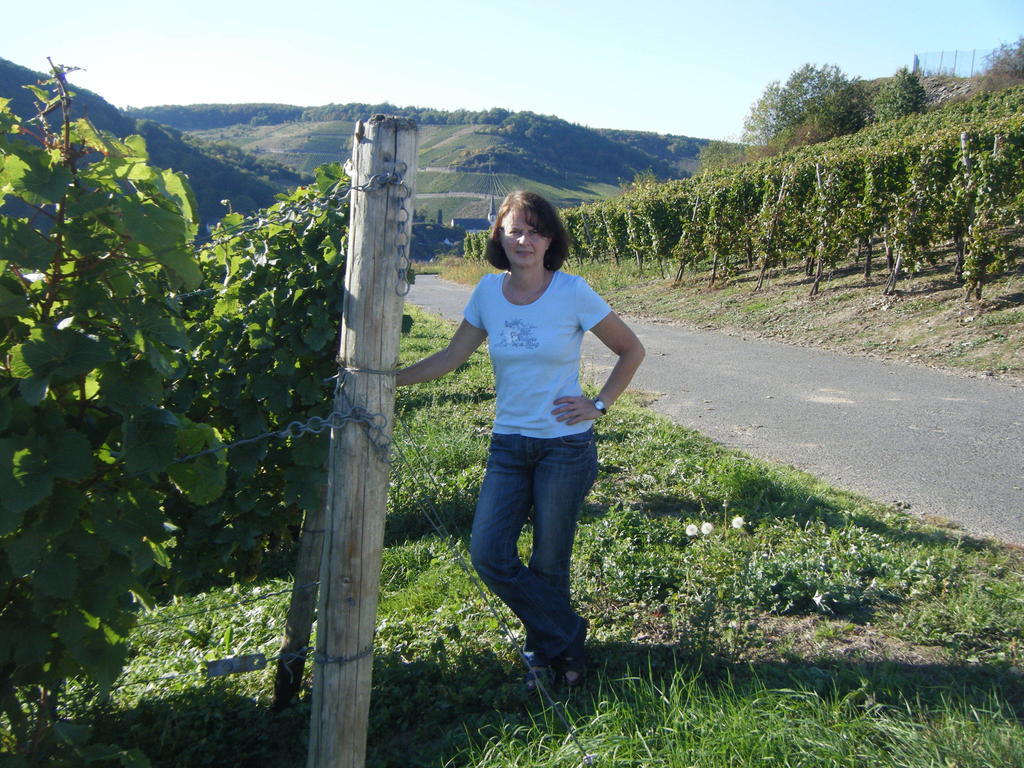 Ferienweingut Hensler Otel Briedel Oda fotoğraf